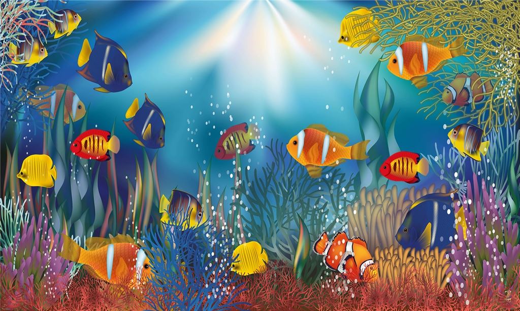 Best fish deals wallpaper